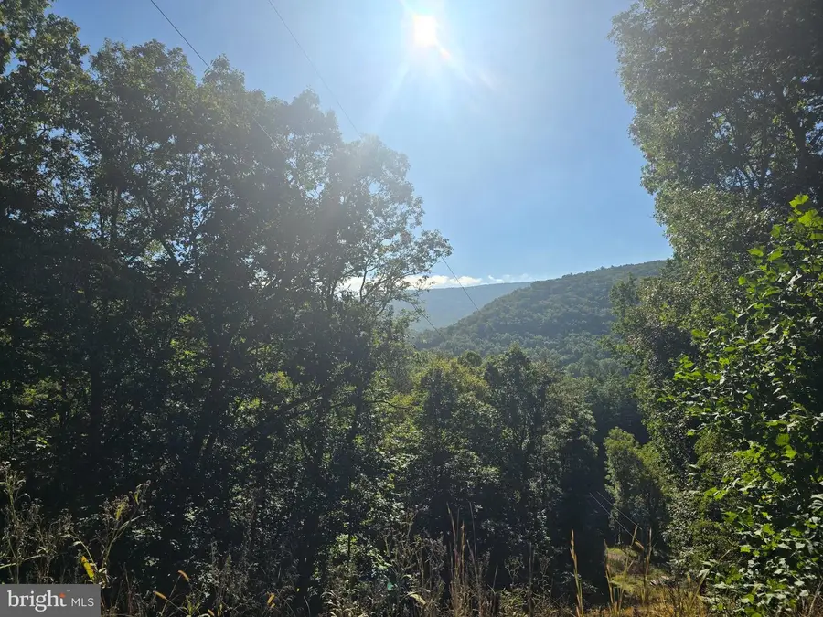 209 Happy Hollow Rd, Franklin, WV 26807 - #3