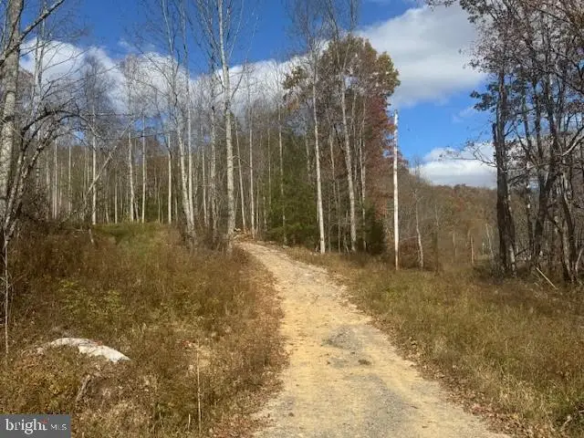 Tbd Rt 41, Mill Creek, WV 26280 - Image #2