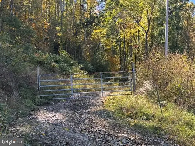 Channell Rd, Mill Creek, WV 26280 - #3