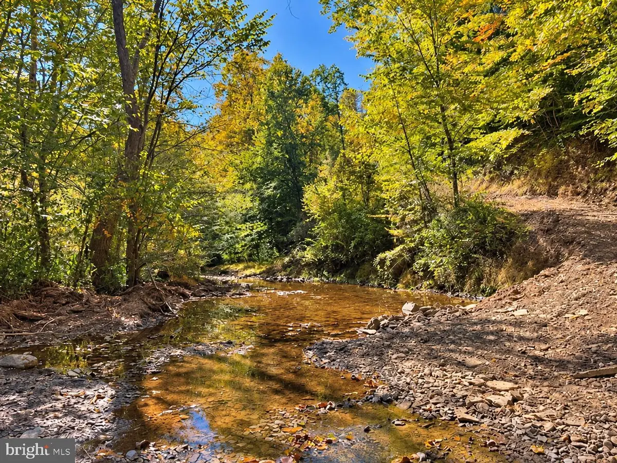 Tbd Beckys Rd, Huttonsville, WV 26273 - #1
