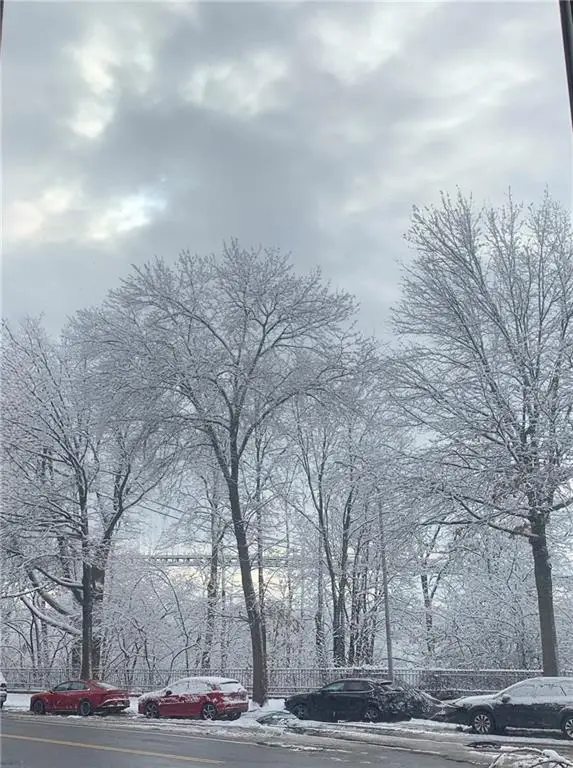 9437 Shore Road #1A, Brooklyn, NY 11209 - #3