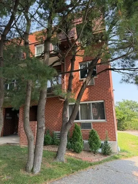 85-28 Dumont Avenue #11B, Ozone Park, NY 11417 - #2