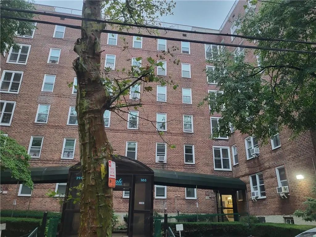 388 Avenue S #4F, Brooklyn, NY 11223 - #1