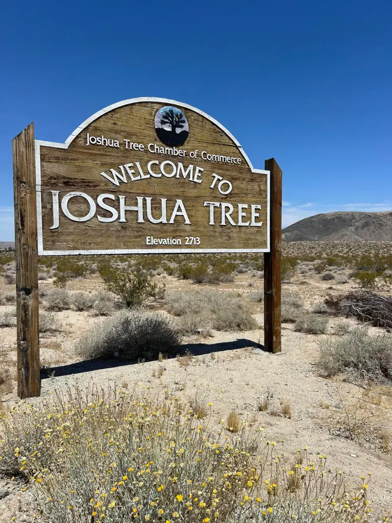 0 Bellflower Street, Joshua Tree, CA 92252 - Image #3