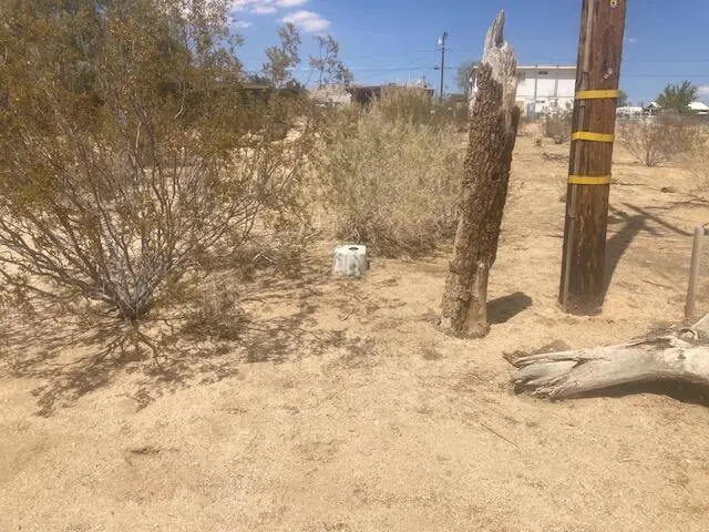 61956 Aster Place, Joshua Tree, CA 92252 - Image #2