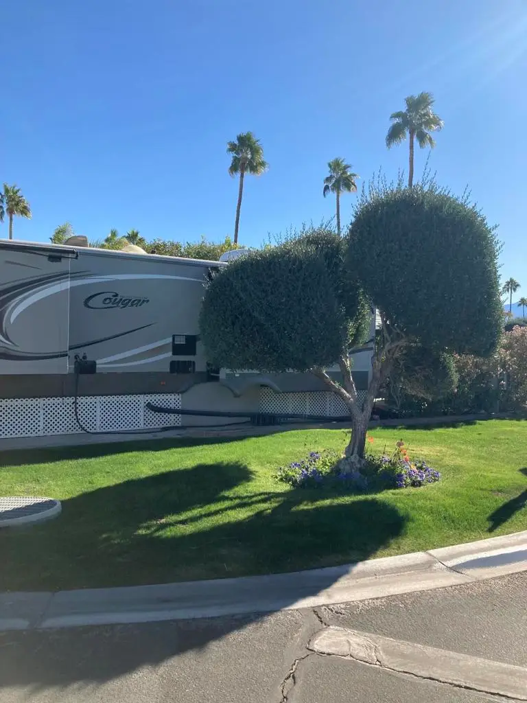 69411 Ramon Road #535, Cathedral City, CA 92234 - #2