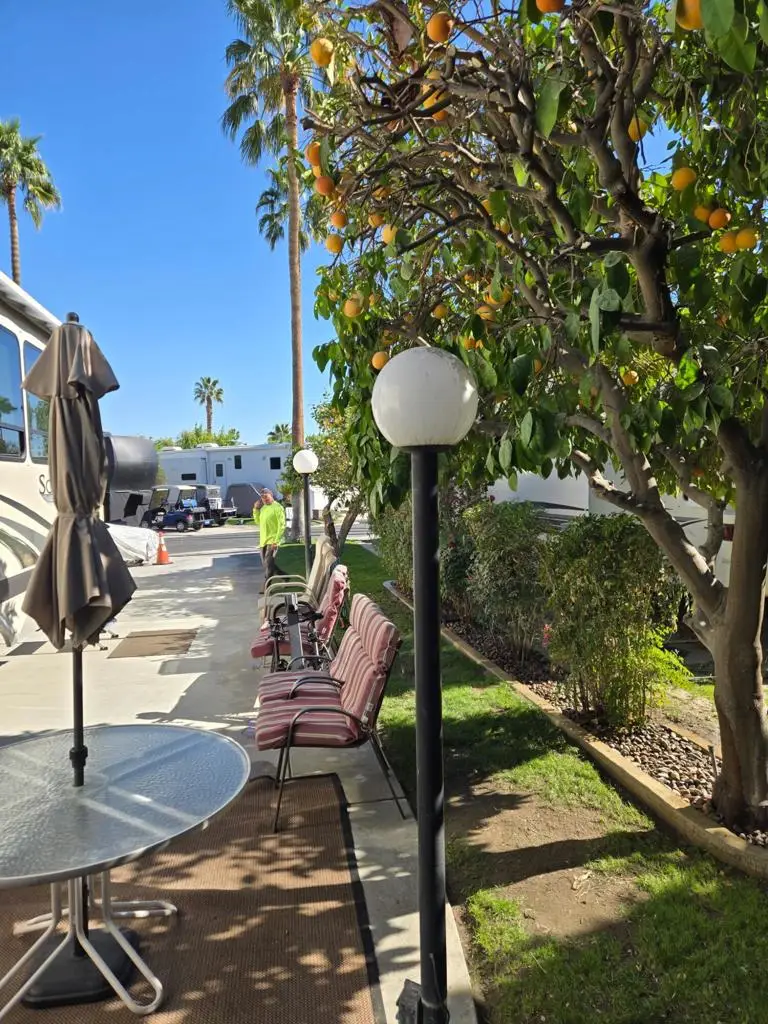 69411 Ramon Road #553, Cathedral City, CA 92234 - #2