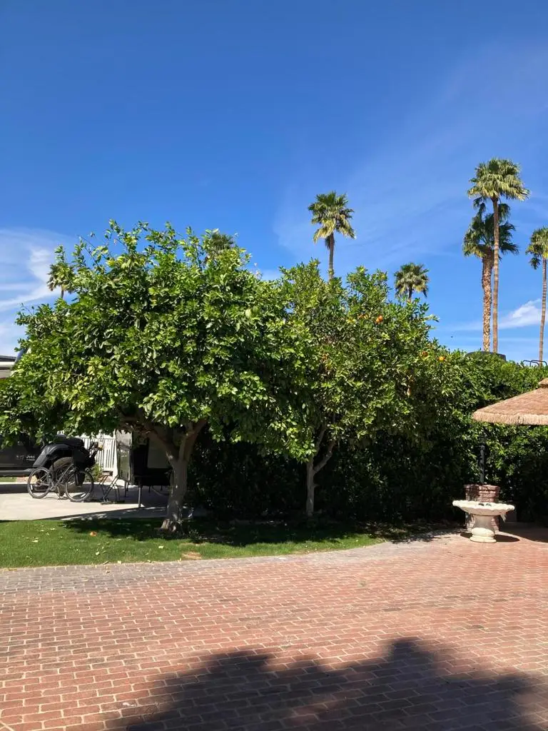 69411 Ramon Road #201, Cathedral City, CA 92234 - Image #3