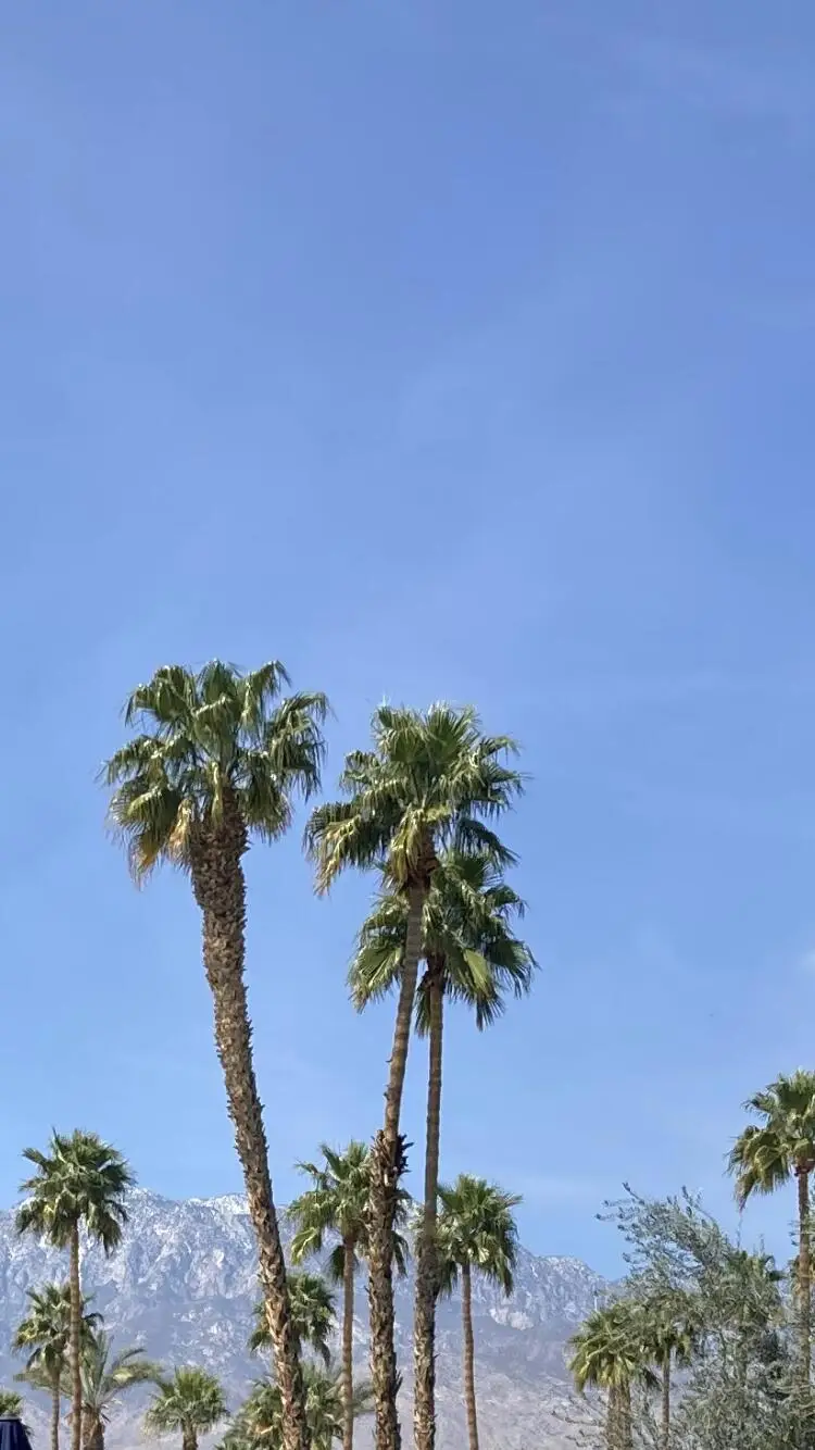 69411 Ramon Road #907, Cathedral City, CA 92234 - #2