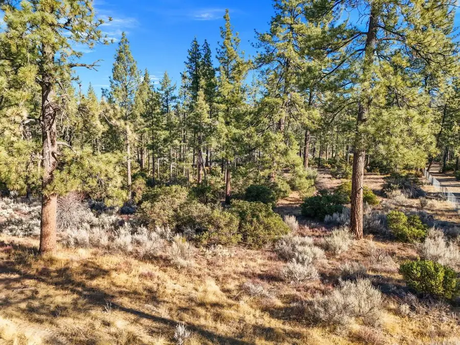 1 Pipe Creek Road, Mountain Center, CA 92561 - Image #3