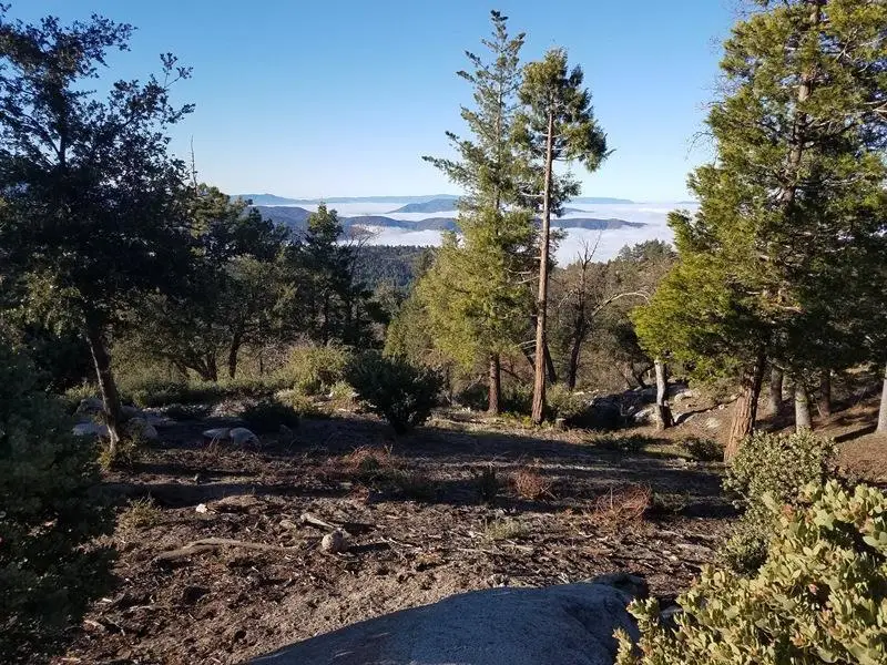 0 Gibbs-gully, Idyllwild, CA 92549 - Image #2