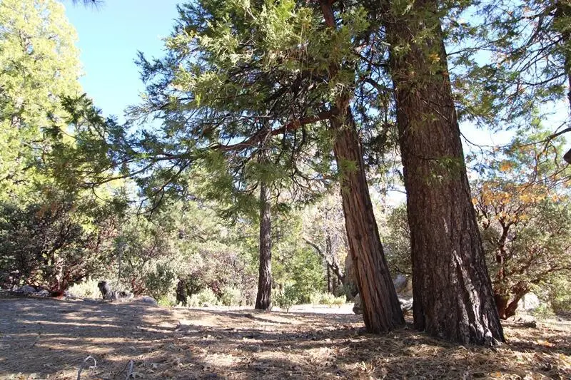 0 Gibbs-gully, Idyllwild, CA 92549 - Image #3