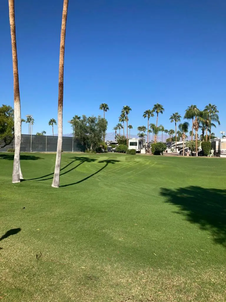 69411 Ramon Road #964, Cathedral City, CA 92234 - Image #3