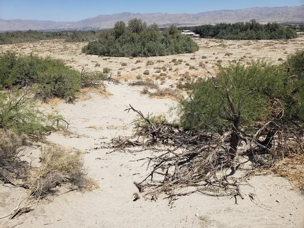 0 Corvado & 20th Avenue Drive, Desert Hot Springs, CA 92241 - Image #1