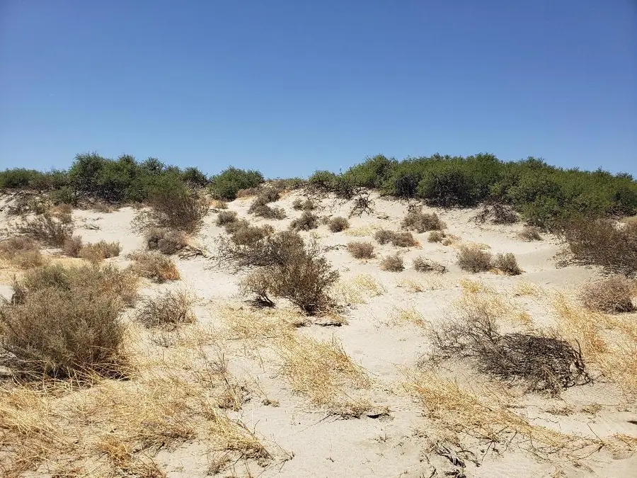 0 Corvado & 20th Avenue Drive, Desert Hot Springs, CA 92241 - Image #2