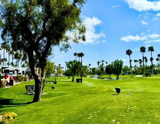 69411 Ramon Road #167, Cathedral City, CA 92234 - Image #2