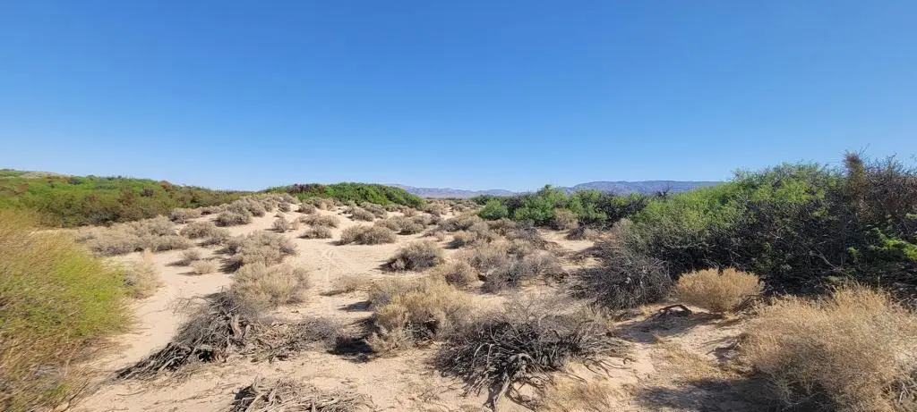 1655 La Buena Tierra Avenue, Twentynine Palms Yucca Valley, CA 92277 - Image #1