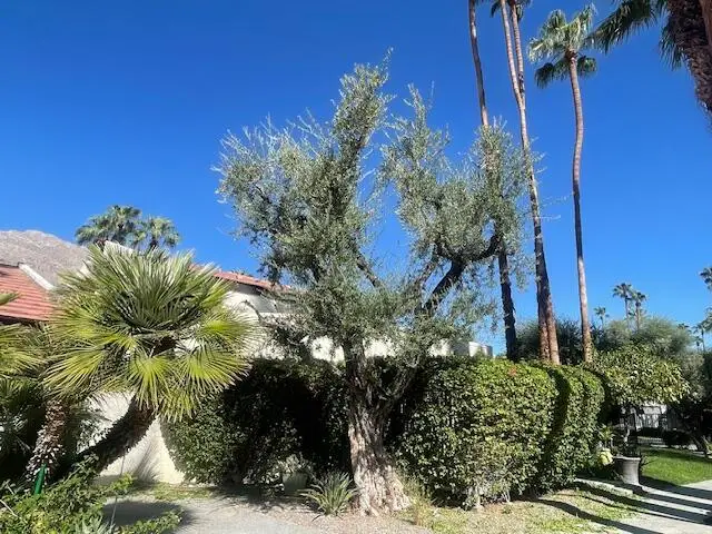 1470 S Camino Real, Palm Springs, CA 92264 - Image #2