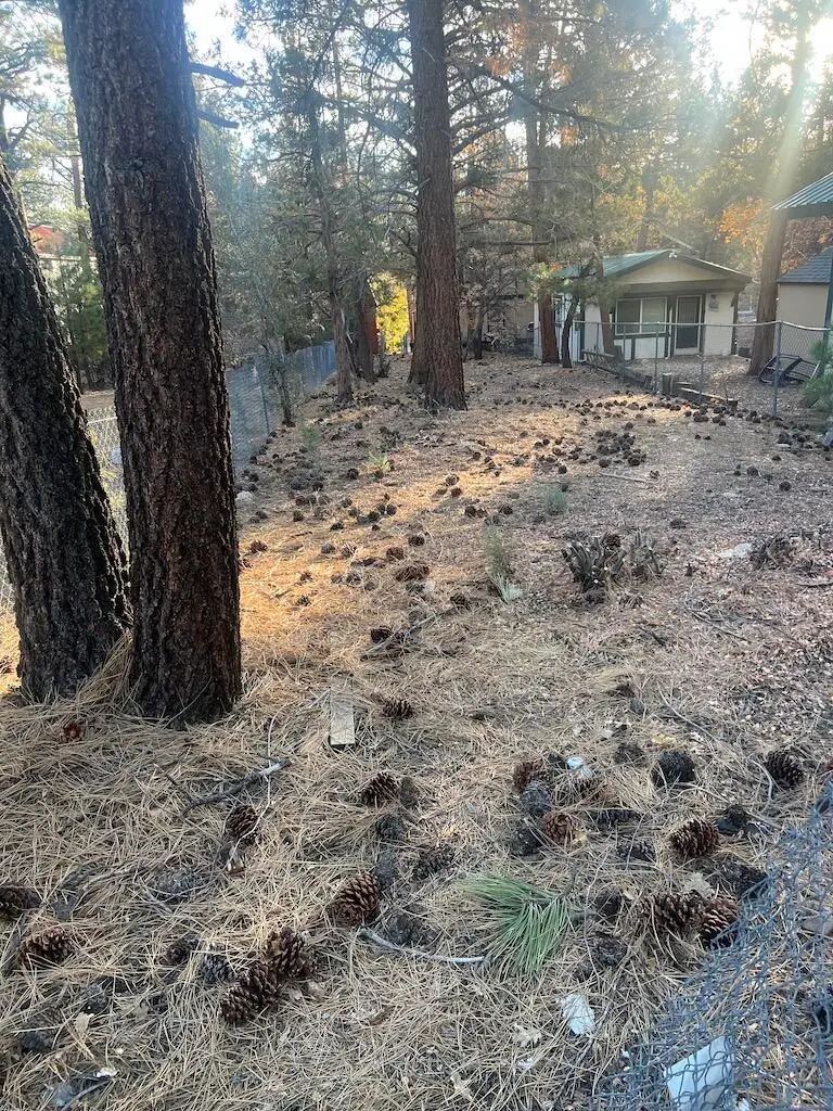 569 Victoria Avenue, Sugarloaf, CA 92386 - Image #2