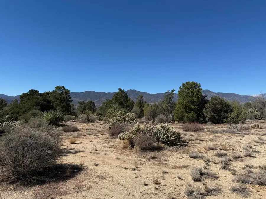 0 Rockwood, Mountain Center, CA 92561 - Image #3