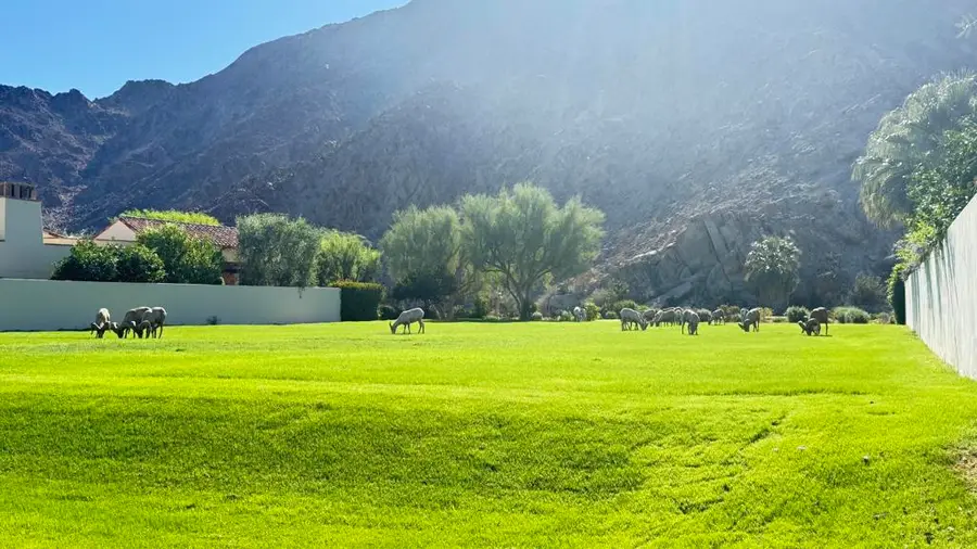 78471 Talking Rock Turn, La Quinta, CA 92253 - Image #3