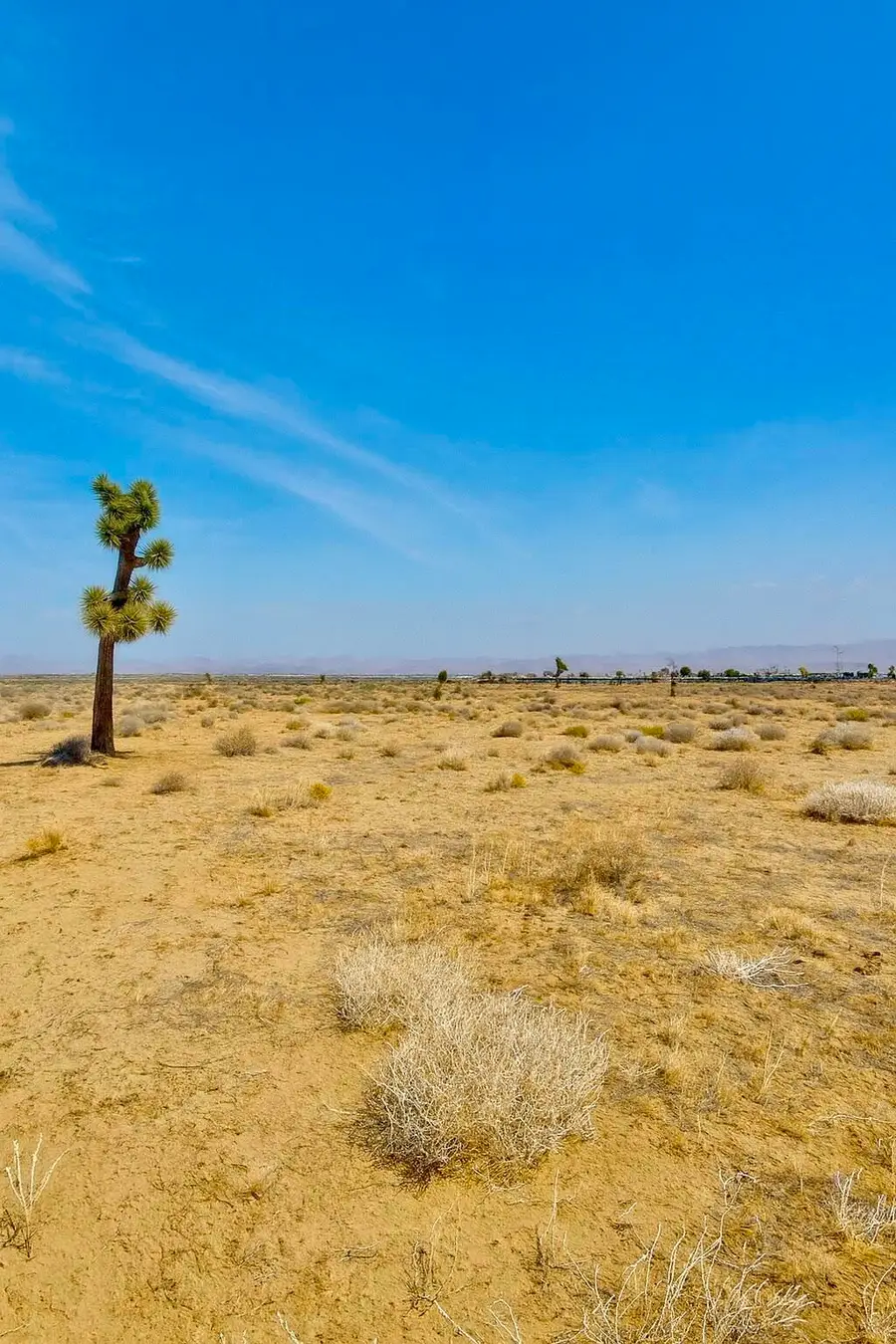 6982 South Street, Phelan, CA 92371 - Image #2