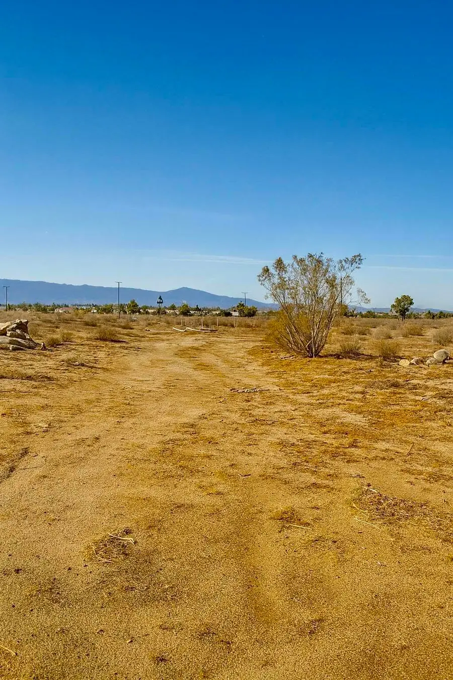 6982 South Street, Phelan, CA 92371 - Image #3