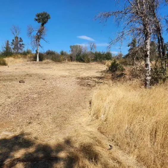 16582 4th Avenue, Clearlake, CA 95422 - Image #3