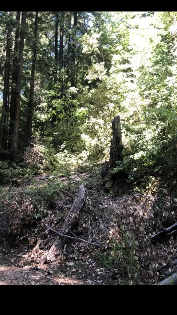 0 Visitar Street, Scotts Valley, CA 95066 - Image #2