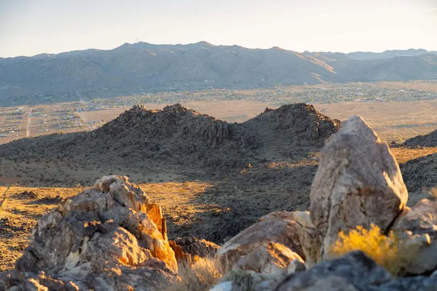 61271 Calle Los Amigos, Joshua Tree, CA 92252 - Image #3