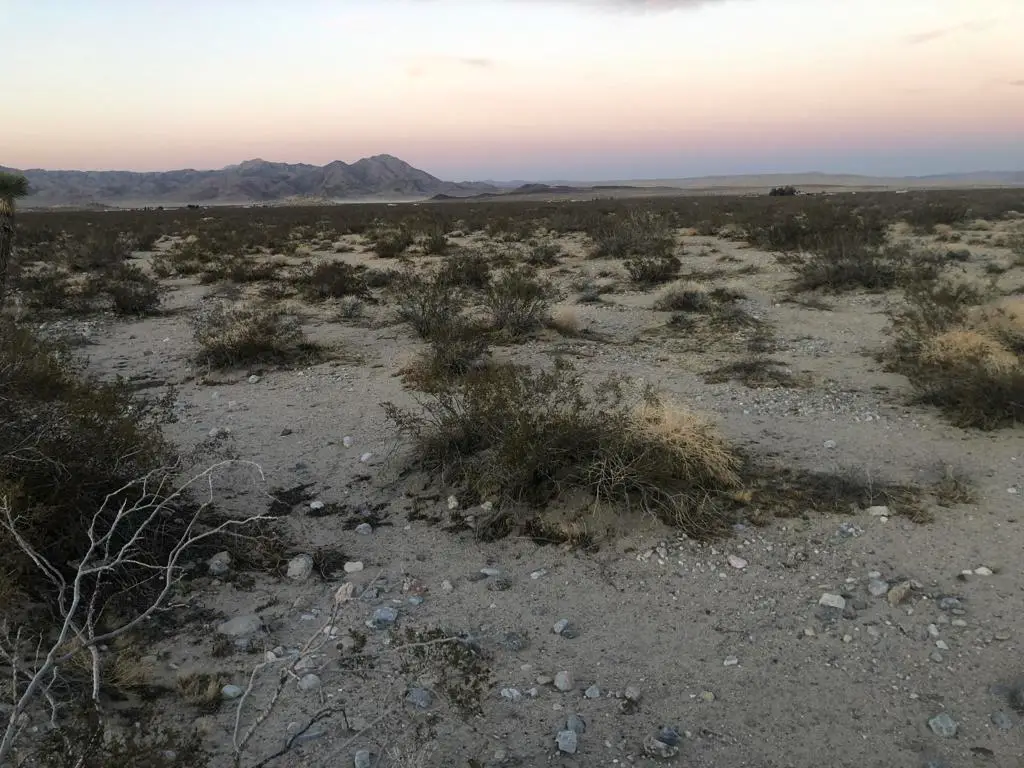 0 Carmer Road, Johnson Valley, CA 92285 - Image #1