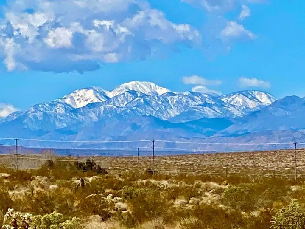 122 Del Rey Rd, Joshua Tree, CA 92252 - #1