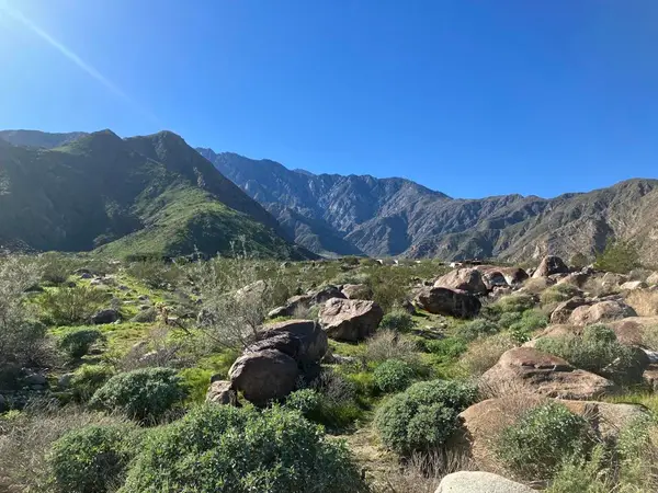 2321 Vista Palizada Drive, Palm Springs, CA 92262