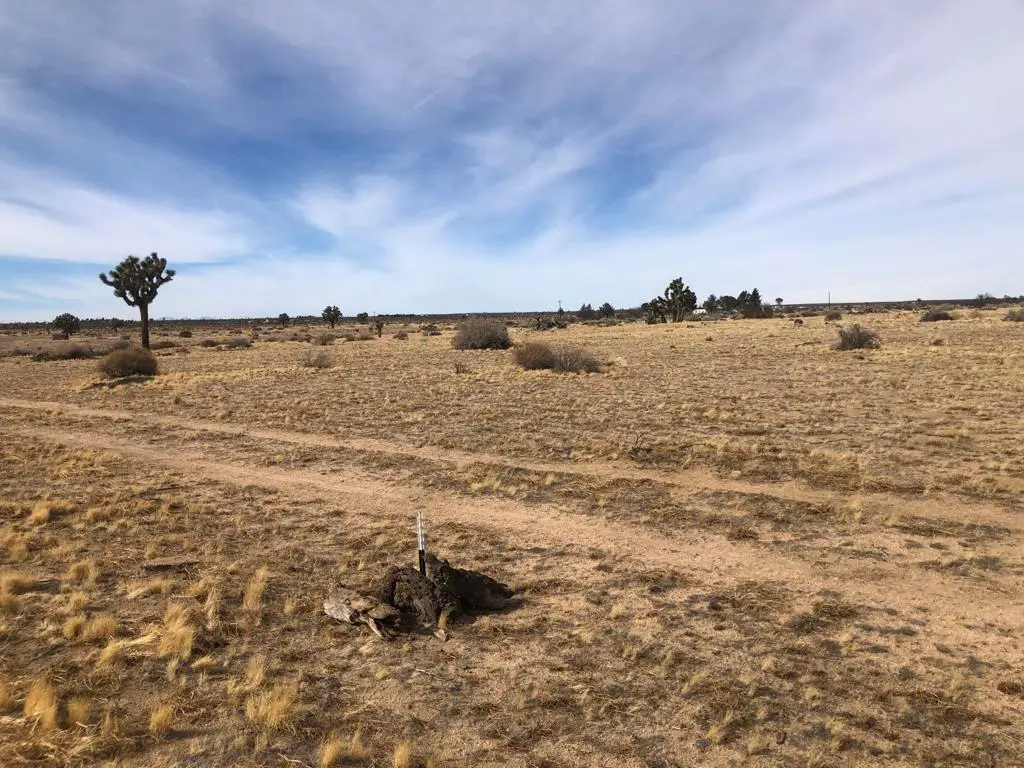 0 E 218th Street, Lancaster, CA 93535 - Image #1