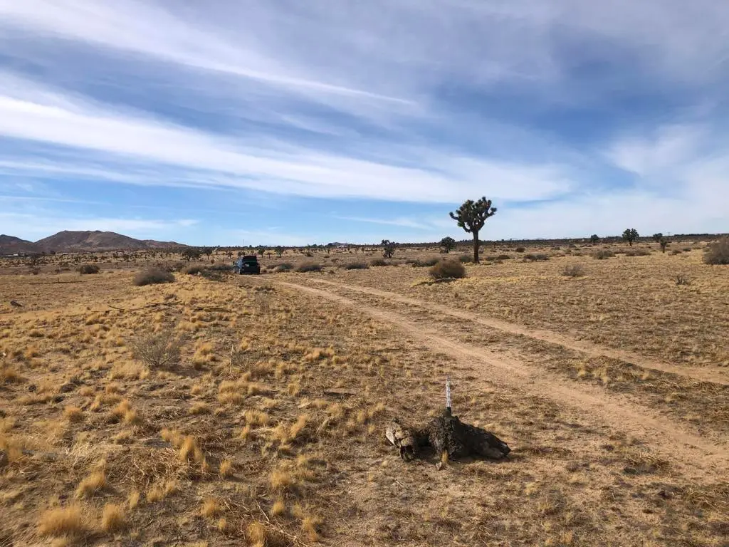 0 218th Street, Lancaster, CA 93536 - #1