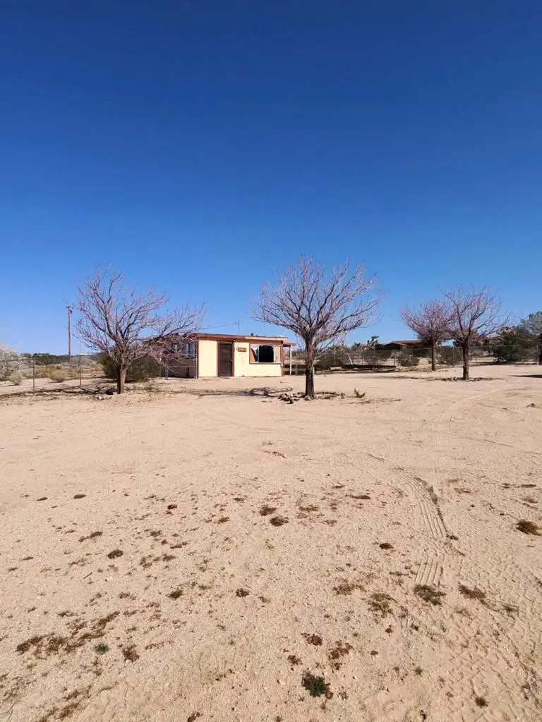 64625 Sonora Road, Joshua Tree, CA 92252 - #3