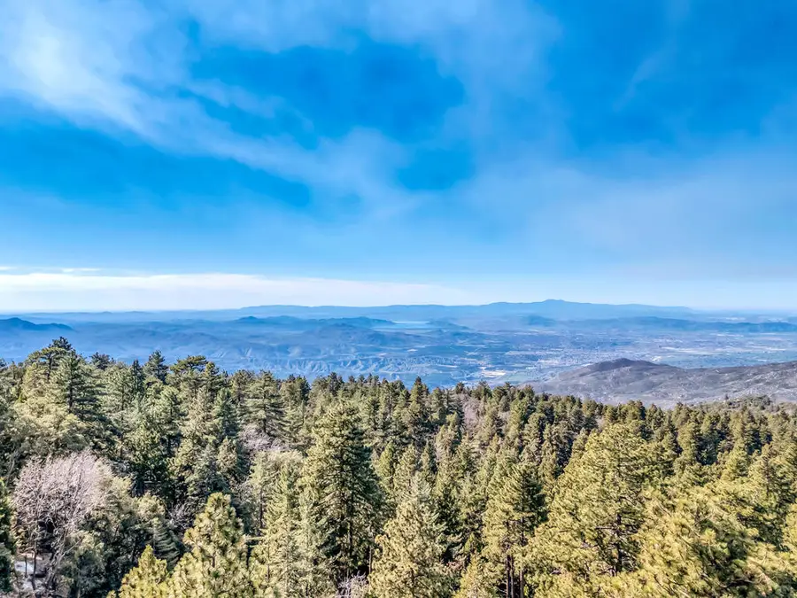 52365 Pine Ridge Road, Idyllwild, CA 92549 - #3