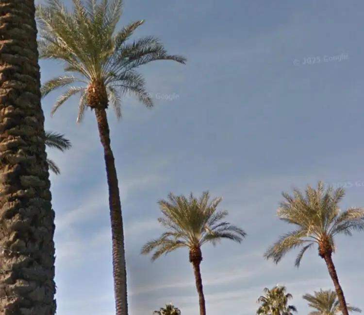 69411 Ramon Road #1117, Cathedral City, CA 92234 - #2