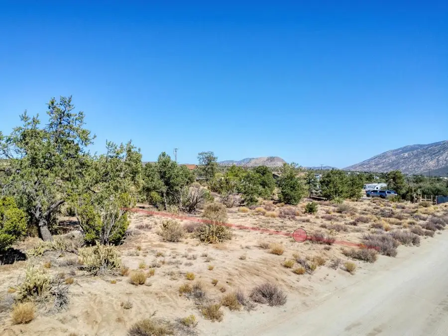 635272003 Palm Canyon Drive Drive, Mountain Center, CA 92561 - #2