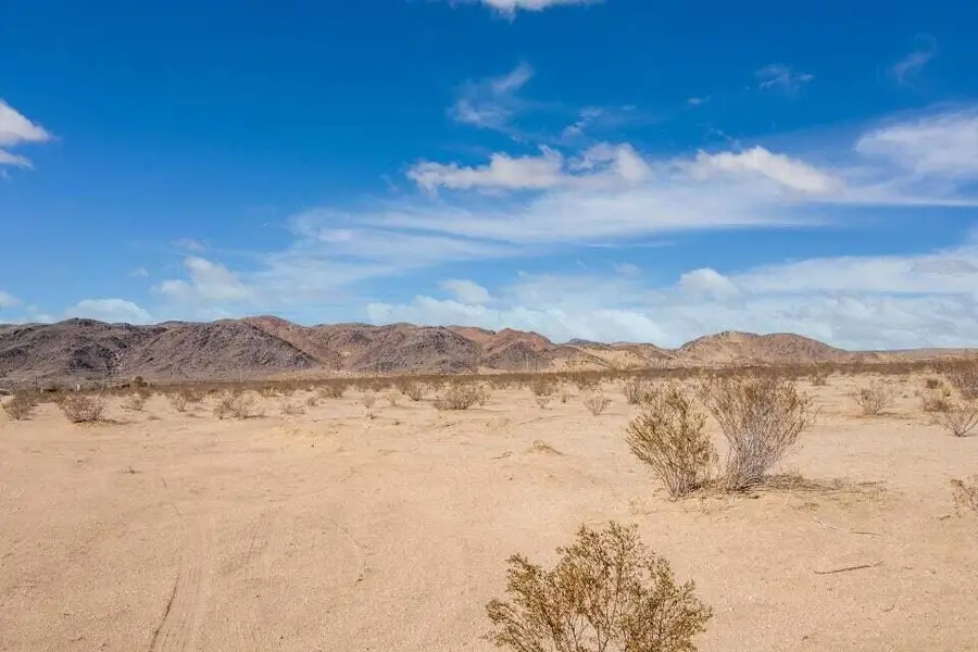 109 Amboy Road, Twentynine Palms, CA 92277 - #3