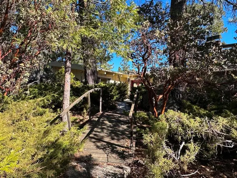25630 Sunrise Drive, Idyllwild, CA 92549 - #3