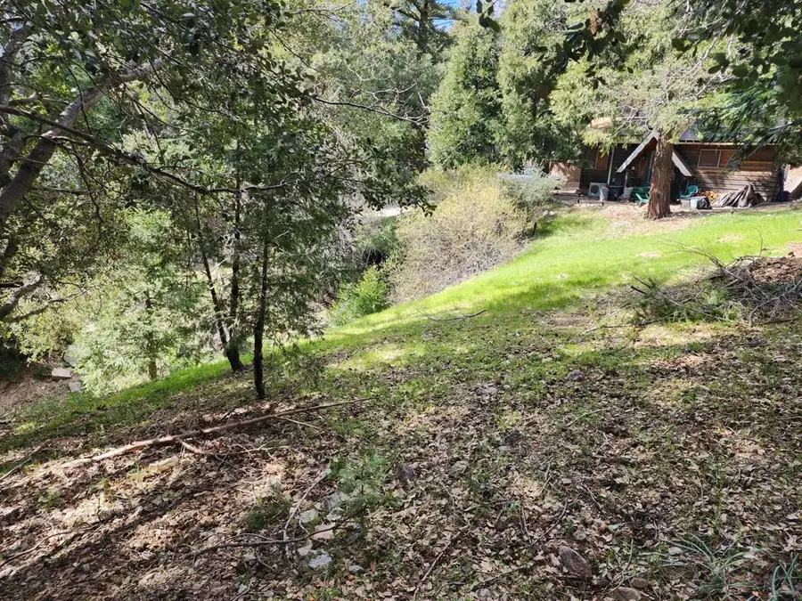 0 Running Springs Lane, Crestline, CA 92325 - #3