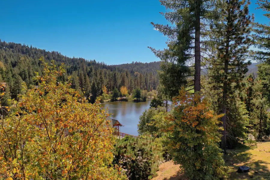 788 Brentwood Drive, Lake Arrowhead, CA 92352 - #3