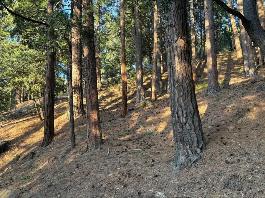 0 Tahquitz View Drive, Idyllwild, CA 92549 - #3