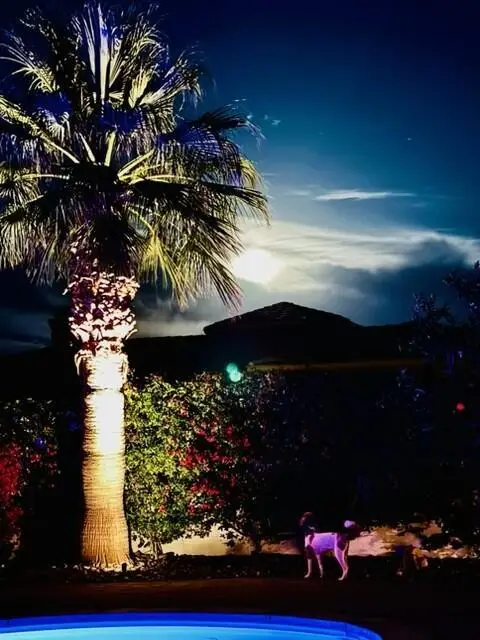 66 Victor Hugo Road, Rancho Mirage, CA 92270 - #1