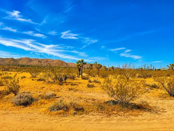 0 Rockwood Road, Joshua Tree, CA 92252