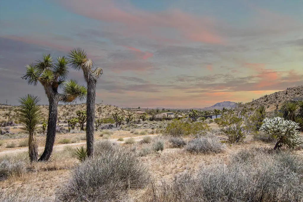 57823 Hilton Lane, Yucca Valley, CA 92284 - #1