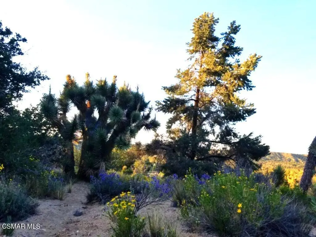Panorama Road, Llano, CA 93544 - Image #1