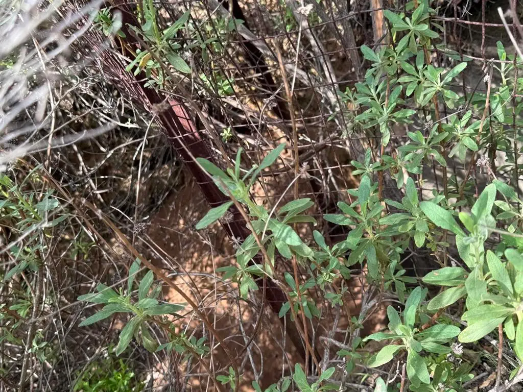 25111 N Centre City Pkwy, Escondido, CA 92026 - #1