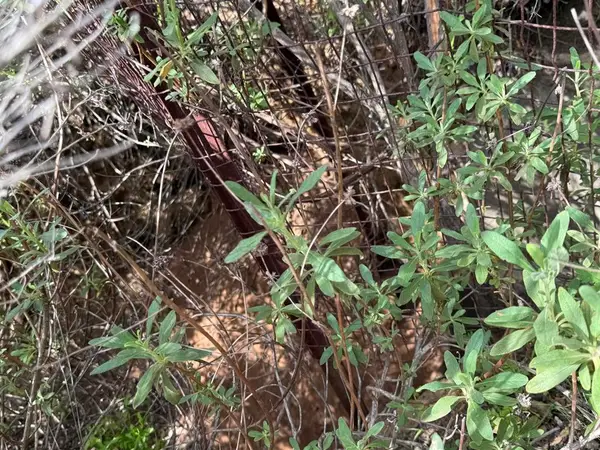 25111 N Centre City Pkwy, Escondido, CA 92026